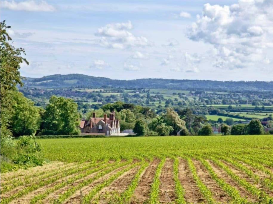 Stags Barn Saxon Maybank Sherborne  Eksteriør bilde